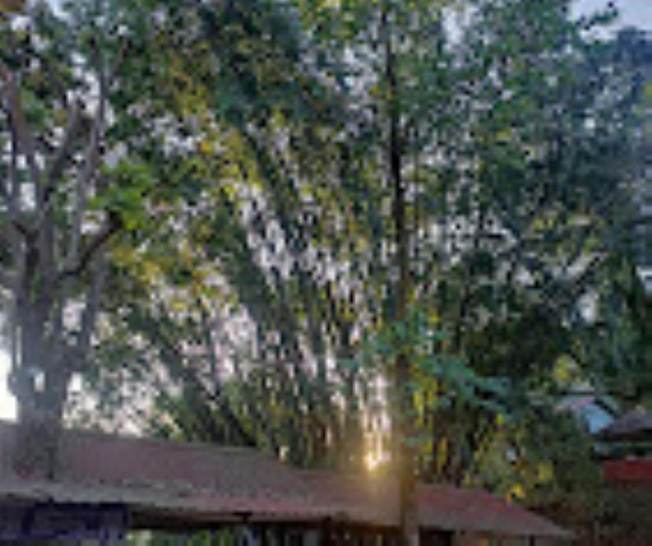 גווהטי Brahmaputra Jungle Resort מראה חיצוני תמונה