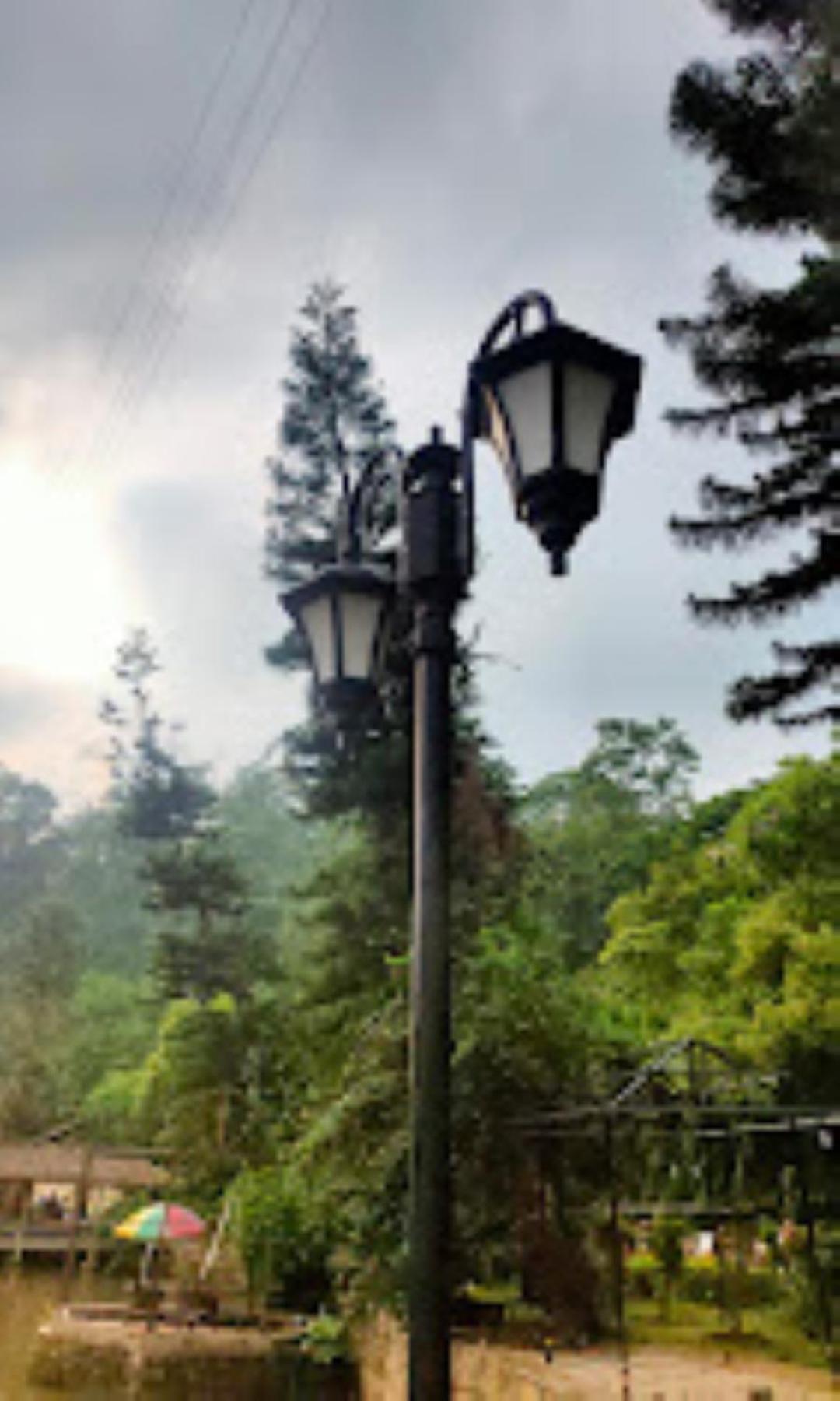 גווהטי Brahmaputra Jungle Resort מראה חיצוני תמונה