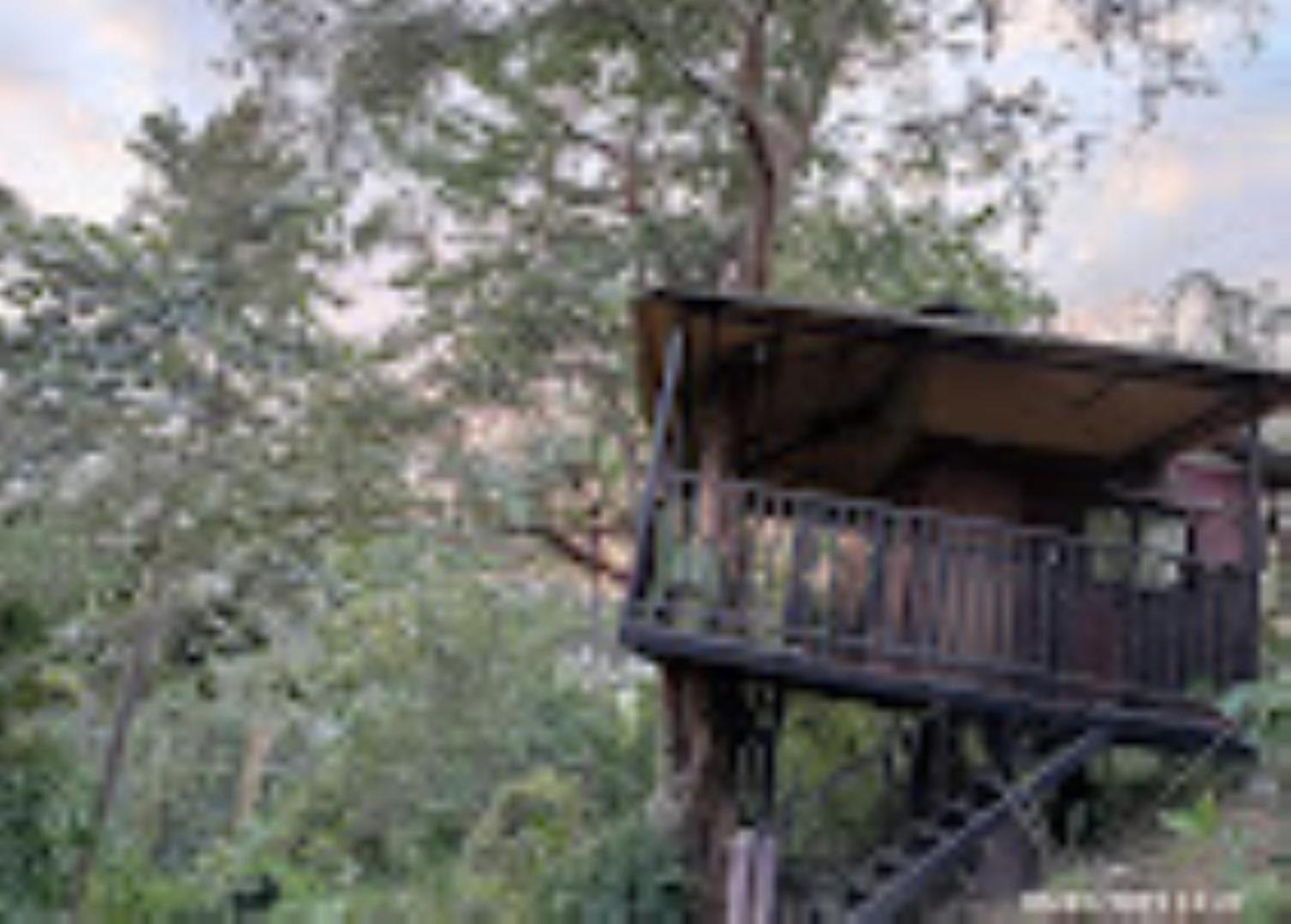 גווהטי Brahmaputra Jungle Resort מראה חיצוני תמונה
