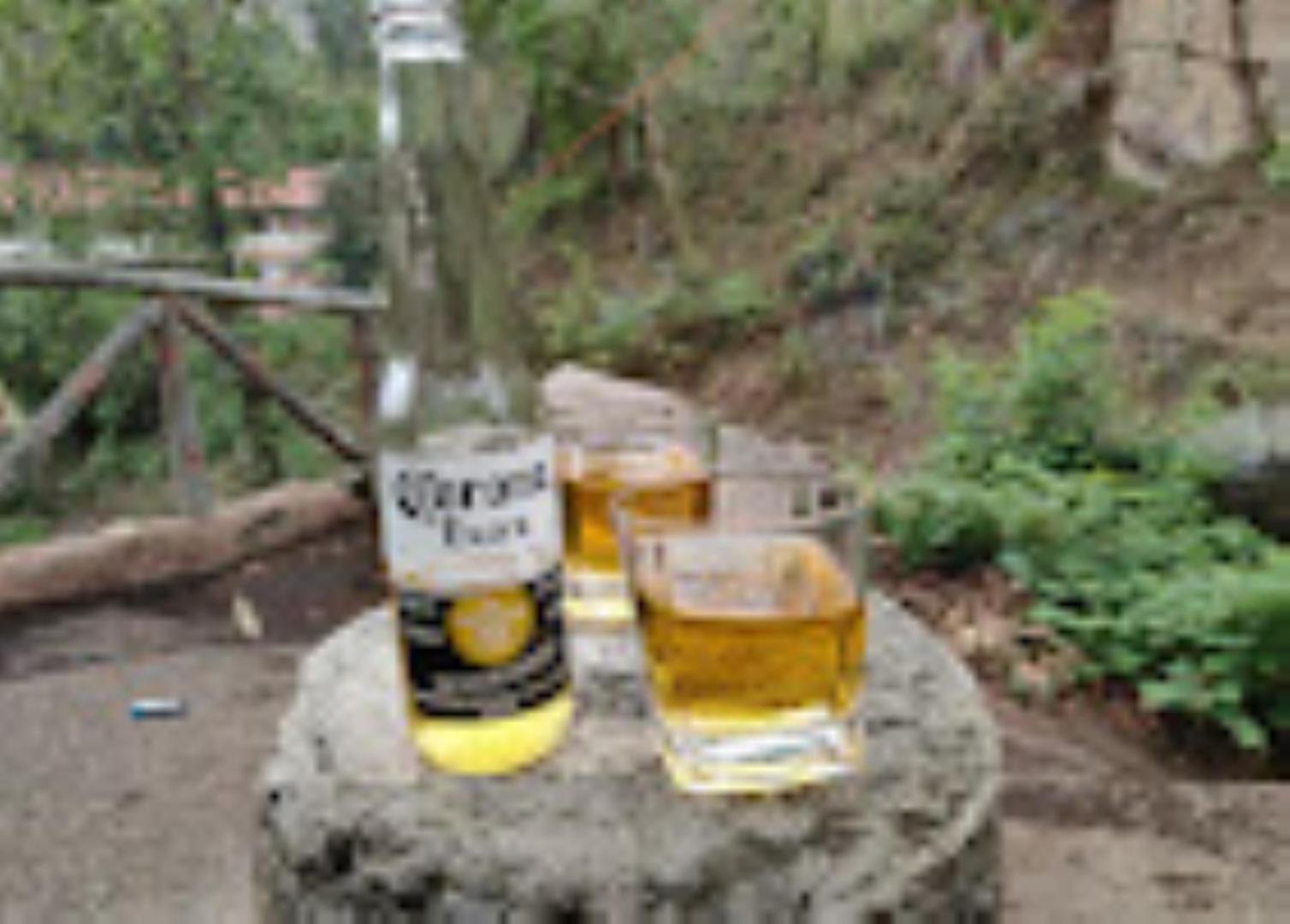 גווהטי Brahmaputra Jungle Resort מראה חיצוני תמונה